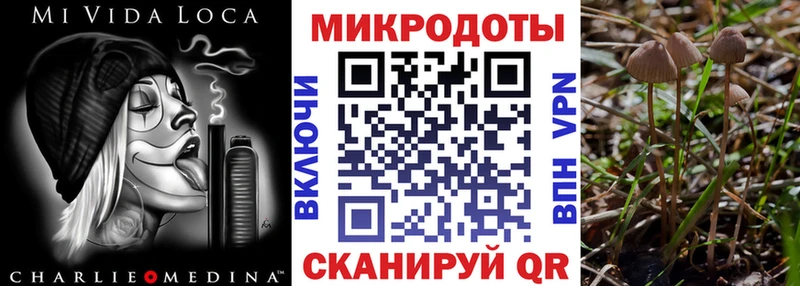 Галлюциногенные грибы мицелий  блэк спрут как войти  Курчалой 